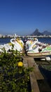 Paradise of the children, pedal boats in the lagoon