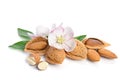 Paradise flower with almond nuts Royalty Free Stock Photo