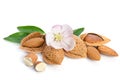 Paradise flower with almond nuts Royalty Free Stock Photo