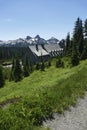 Paradise Inn with Tatoosh range Royalty Free Stock Photo