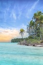 A paradise island beach palms in French Polynesia Royalty Free Stock Photo