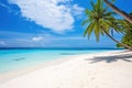 Paradise island beach. Tropical landscape of summer sea sand sky palm trees. Tranquil freedom travel vacation destination. Exotic Royalty Free Stock Photo