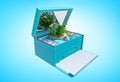 Paradise island in the shape of heart in blue jewelry box, isolated