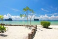 The paradise island in Trang Province , Thailand