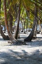 Paradise Islands in Guna Yala, Kuna Yala, San Blas, Panama. Sunset. Sunrise. Royalty Free Stock Photo