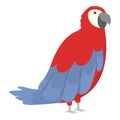 Paradise macaw icon cartoon vector. Parrot bird