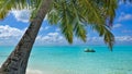 Paradise in the Maldives. A palm tree bent over the aquamarine ocean. Royalty Free Stock Photo