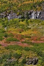 Paradise Meadow autumn view from Going to the Sun Road Royalty Free Stock Photo