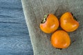 Paradise Palm fruit, mature paradise palm on the wooden floor