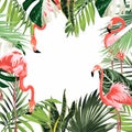 Paradise pink flamingo birds with exotic leaves. Card template, frame Royalty Free Stock Photo