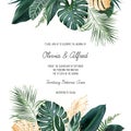 Paradise plants, greenery and palm card. Stylish fashion frame. Royalty Free Stock Photo