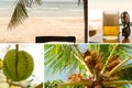 Paradise rest collage asia beach sand ocean coconuts on palm green prickly durian one-piece fruit refreshing mug of beer Royalty Free Stock Photo