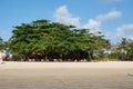 Paradise resting place on the beach under the trees Royalty Free Stock Photo