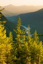 Paradise River at Mount Rainier National Park, USA Royalty Free Stock Photo