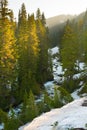 Paradise River at Mount Rainier National Park, USA Royalty Free Stock Photo