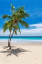 Paradise sunny beach with coco palms and turquoise sea. Royalty Free Stock Photo