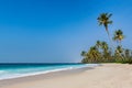 Coconut palms on tropical sanny beach and turquoise sea in Hawaii island. Royalty Free Stock Photo