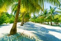 Beautiful Tropical Landscape, Paradise Sunny Beach with Palm Trees Royalty Free Stock Photo
