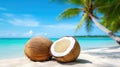 paradise sweet coconut background