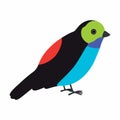 Paradise tanager bird illustration. Vector illustration isolated. Royalty Free Stock Photo