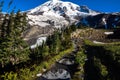 Paradise trail in Mount Rainier National Park, Washington, USA Royalty Free Stock Photo