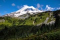 Paradise trail in Mount Rainier National Park, Washington, USA Royalty Free Stock Photo