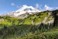 Paradise trail in Mount Rainier National Park, Washington, USA Royalty Free Stock Photo