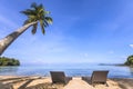 Paradise tropical beach with beautiful palm tree and two deckchairs Royalty Free Stock Photo