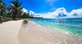 Paradise tropical beach palm the Caribbean Sea Royalty Free Stock Photo