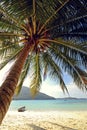 Paradise Tropical Beach Relaxation Concept