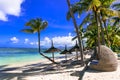 Paradise tropical beach scenery. Mauritius island Royalty Free Stock Photo