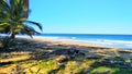 Dream beach in BÃÂ¡varo Punta Cana Dominican Republic Royalty Free Stock Photo