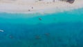 Paradise tropical beach Zanzibar island aerial view