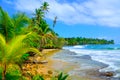 Paradise Tropical Island - Bocas del Toro - Island Colon Royalty Free Stock Photo
