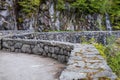 Paradise Valley Rd in Mount Rainier National Park in Washington State during Spring