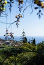 Paradise view over the mediterranean sea, with tropical yellow flowers in first plan Royalty Free Stock Photo