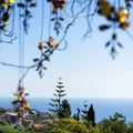 Paradise view over the mediterranean sea, with tropical yellow flowers in first plan Royalty Free Stock Photo
