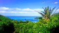 Paradise view of palms and carribbean sea at Playa Brava, Teyrona Nationalpark, Colombia