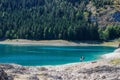 Paradise views of the national park Durmitor in Montenegro. Turquoise water of the lake, pine forest and mountains. Stunning backg Royalty Free Stock Photo