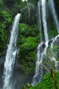 Paradise Waterfall, Bali. Nature Beauty Landscape Background