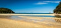 Paradisiac beach in Abel Tasman in New Zealand