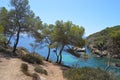 Paradisiac beach cove in between cliffs covered in pine trees, blue sky