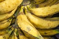 Group of Bananas yellow for sale Royalty Free Stock Photo