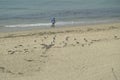 Paradisiacal Malibu Beaches On A Cloudy Day. Sport Nature Landscape