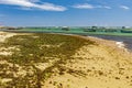 Paradisiacal tropical beach of Itapua in the city of Salvador