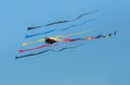 Parafoil kite with long colorful tail beside five streamer flags Royalty Free Stock Photo