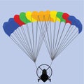 Paraglider Royalty Free Stock Photo