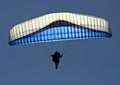 Paraglider