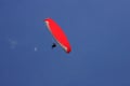 Paraglider