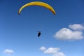Paraglider flying over fields in sunny day. Paraglider in the blue sky